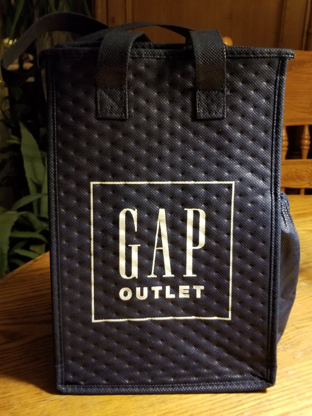 GAP OUTLET INSULATED LUNCH BAG